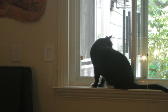 Over there...what is that????