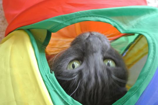 What? The space time calibrations need some work!