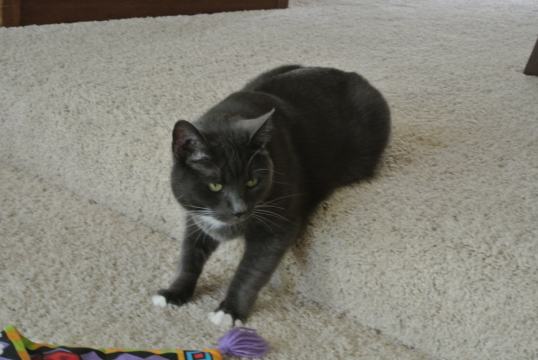 Yup, just the right height