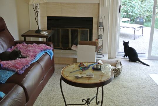 Keeping an eye on me