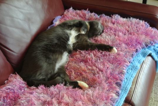 Frolic, frolic, frolic...zzzzzzz