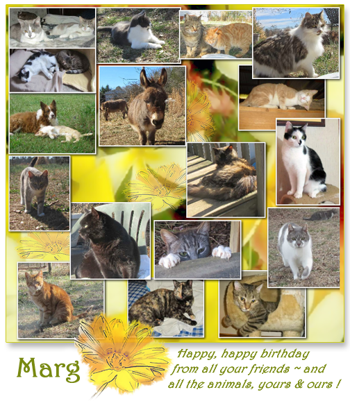 Happy Birthday MARG (Post 4.9.2014) (1)