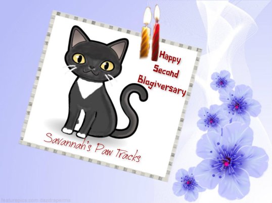 Second Blogiversary Cake