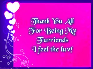 thank you second blogiversary