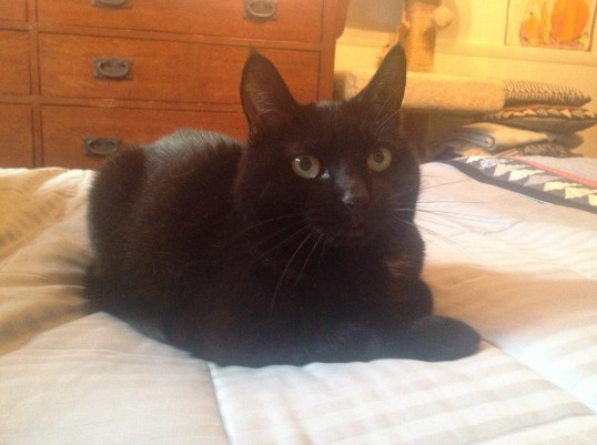 Woo Hoo! I WON...and no Hitch...you cannot have any