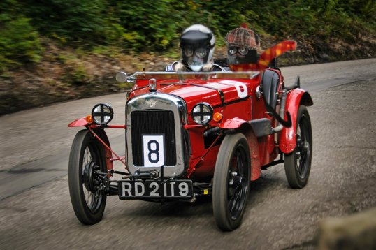 savvy and sage car ride