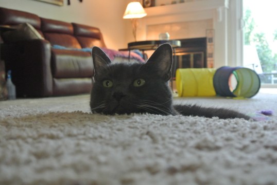 Seriously?? More than one??