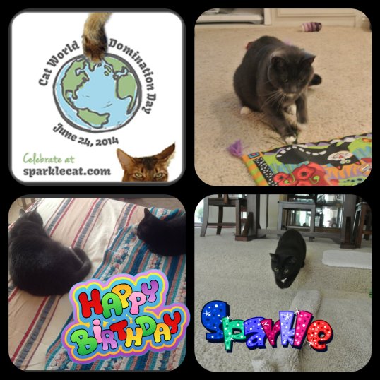 Sparkle Rules Today!