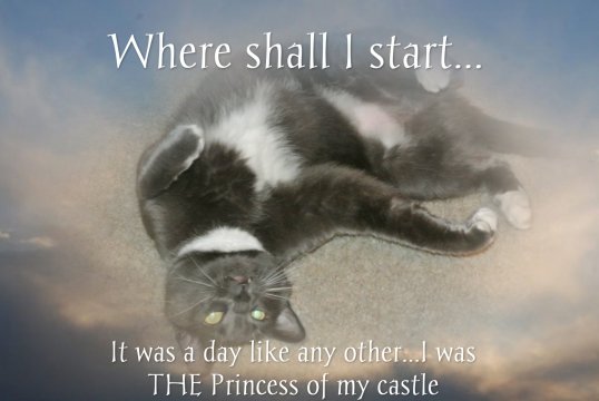 A day like any other