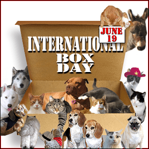 Box-Day-6.19.2014-300x300