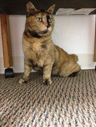 Oh my!  Are they looking at ME??!!