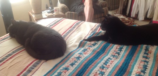 She is gonna touch me!!