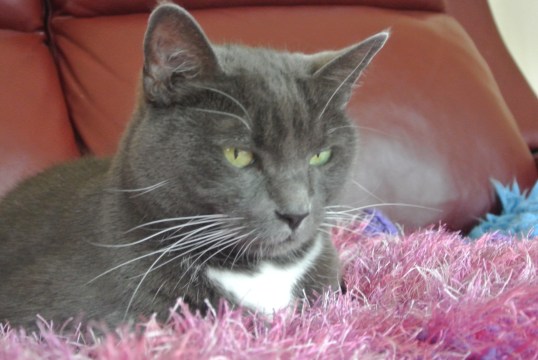 This is my unhappy look