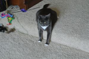 Why can't The Kid leave me along???