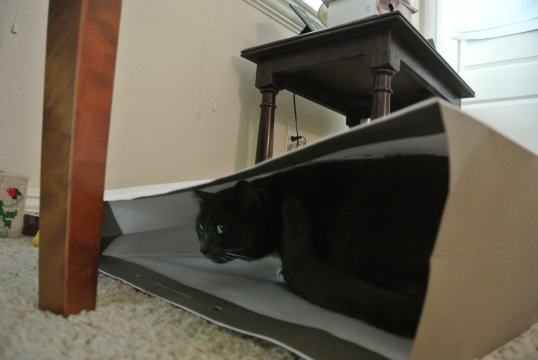 Nice...lots of room...no Kid