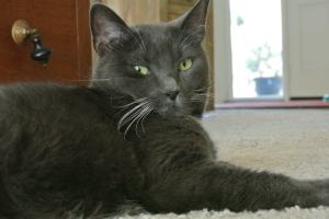 Feeling great about our efforts