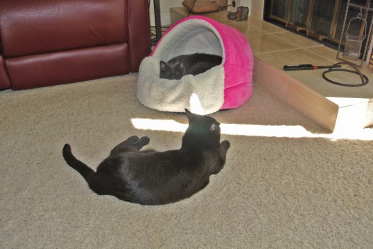 I do not acknowledge you