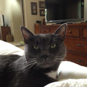 My bed moved...she's back there isn't she?