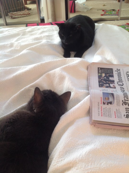 That is OUR paper...Mom L's and MINE