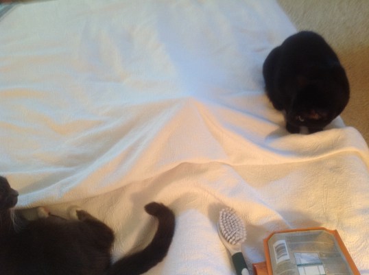 You shall not pass Kid!!