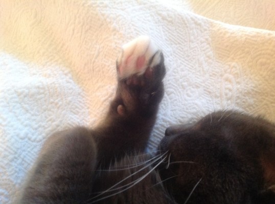 This is for you Kid Sage...