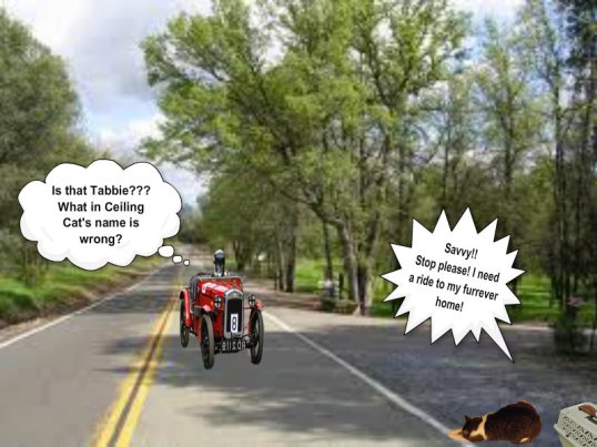 Tabbie gets a ride