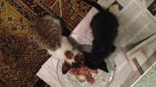 2014-07-05 07-00-54 -0700