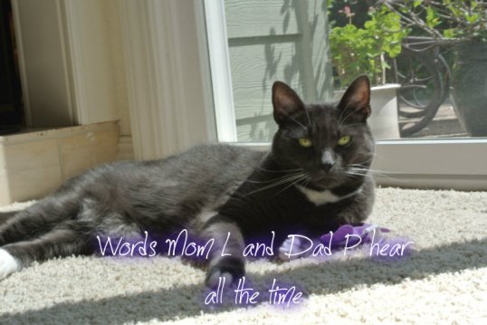 686628857pizapw1405558141