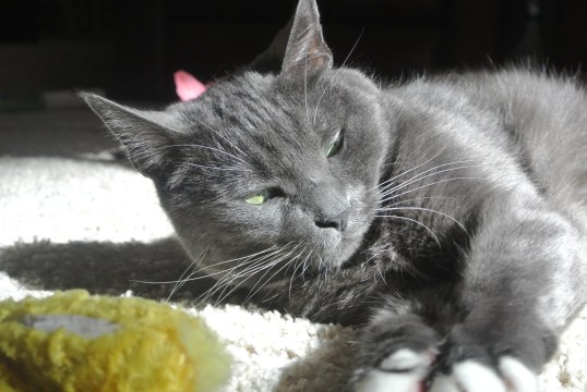 Oh right...I don't play...heh...heh