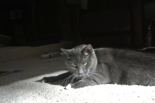 Look, focus...see the spot...be the spot...