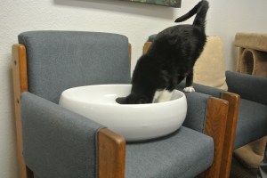 Smells strange...not like my own sink