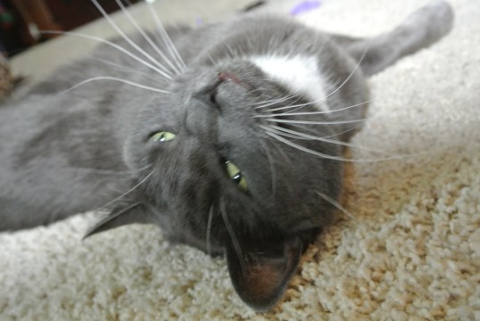 So much on my mind....