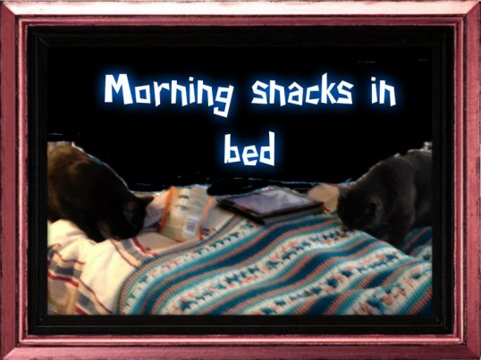 morning snacks in bed