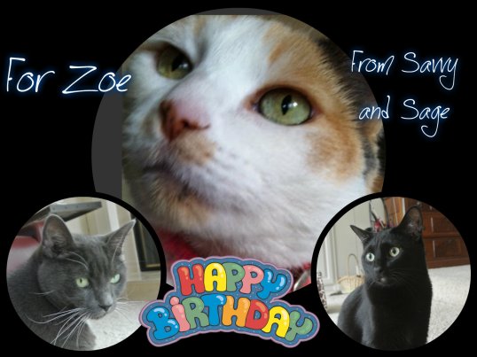 Swami Zoe card at 13