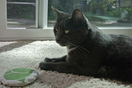 You do see me, right Kid?