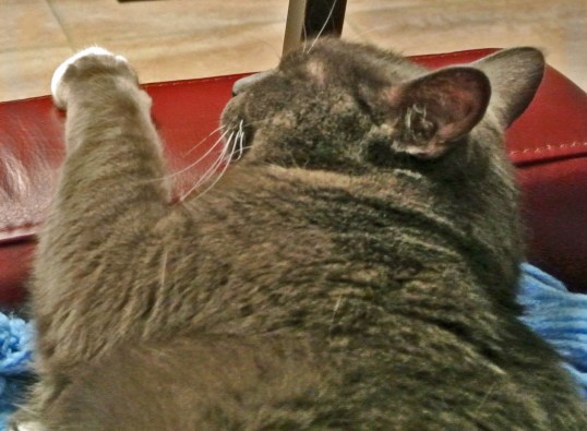 Snoozing while Mom L talks away about me