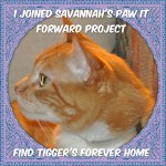 paw it forward badge side bar for post