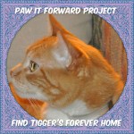 SPT blog post august 14 side bar