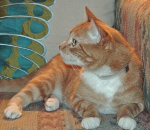 What? I have to go away again?