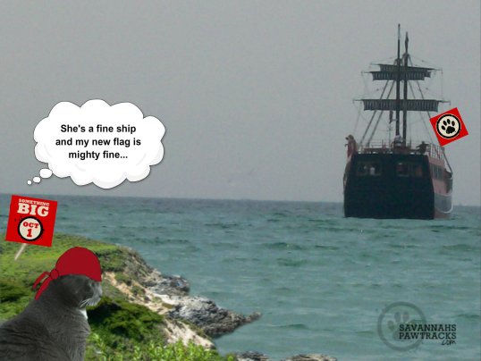 2014 ship with savvy edit 02