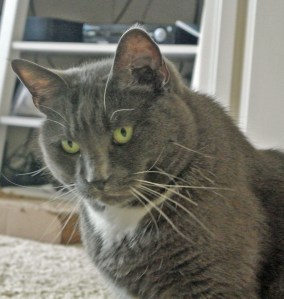 I have something serious to share