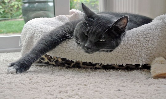 Just look at all that effort...for me...perfect