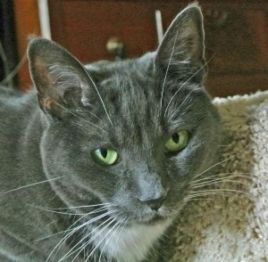 I changed the questions around, ok?