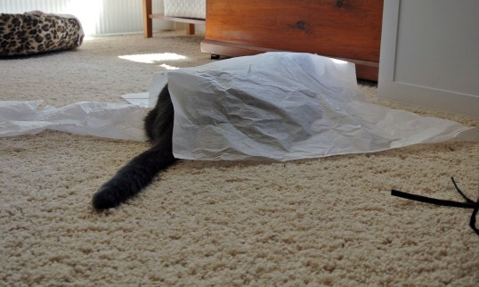 Well, maybe just one more time for old times sake...