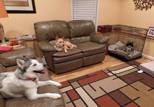 Whoa! this is nice!!