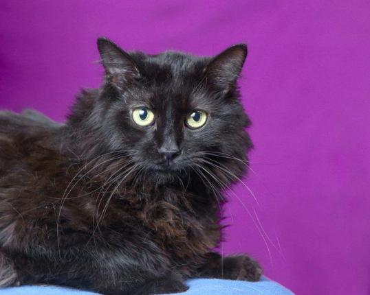 Hey Everyone...this is the photo that got me my home!