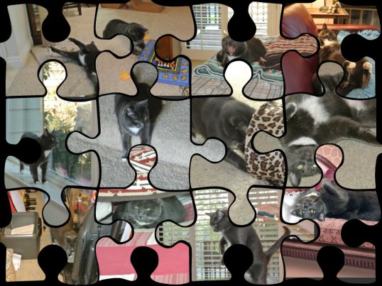 My REAL SELF continues to emerge