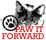 SavvySidebarPawForward