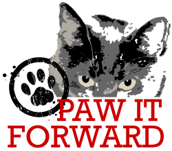 SavvySidebarPawForward