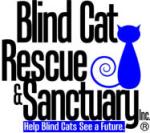 blind cat logo
